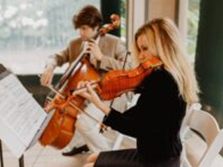 Addison Chamber Players Wedding and Event Musicians